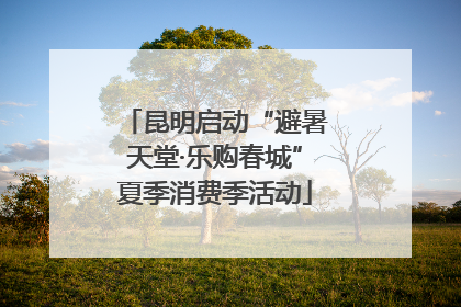 昆明启动“避暑天堂·乐购春城”夏季消费季活动